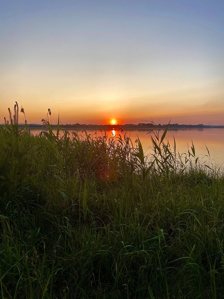 Photograph by Елена Белениник