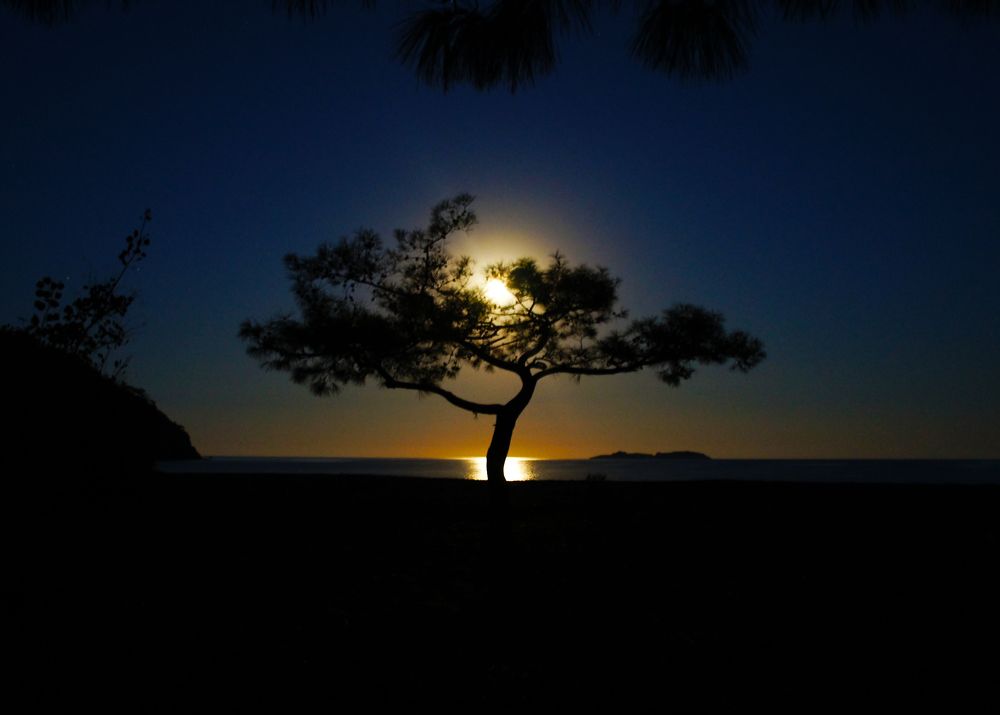 Photograph by Павел Минкевич