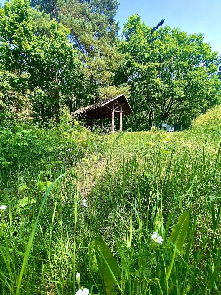 Photograph by Елена Белениник