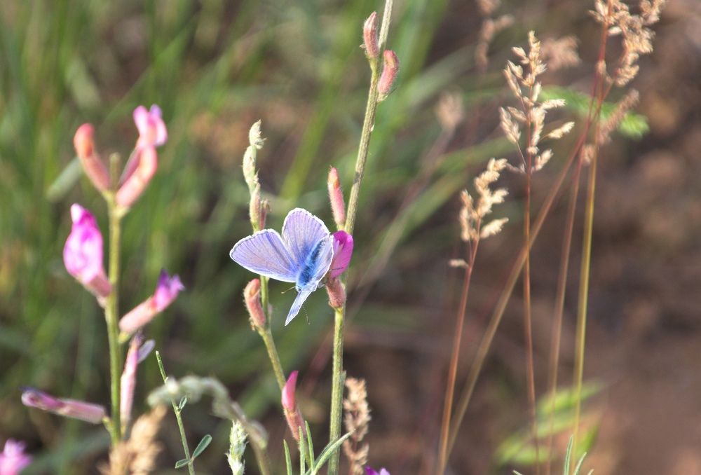 Photograph by Марина