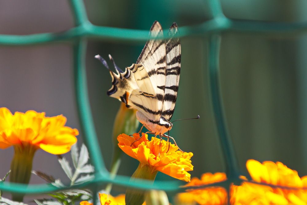 Photograph by Марина