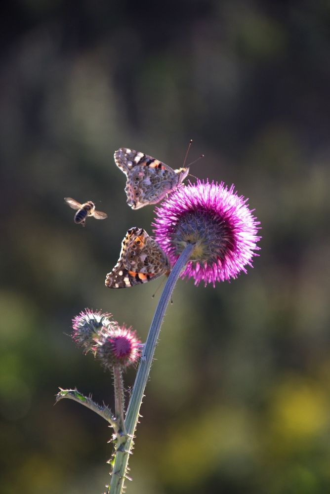 Photograph by Марина