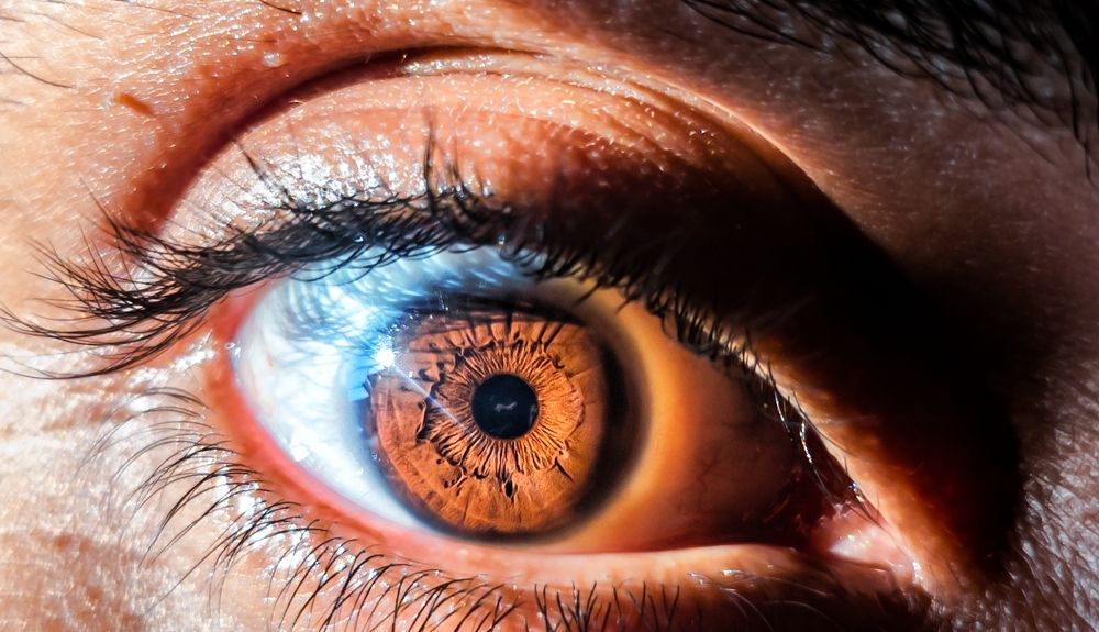 Фотография автора George Boules