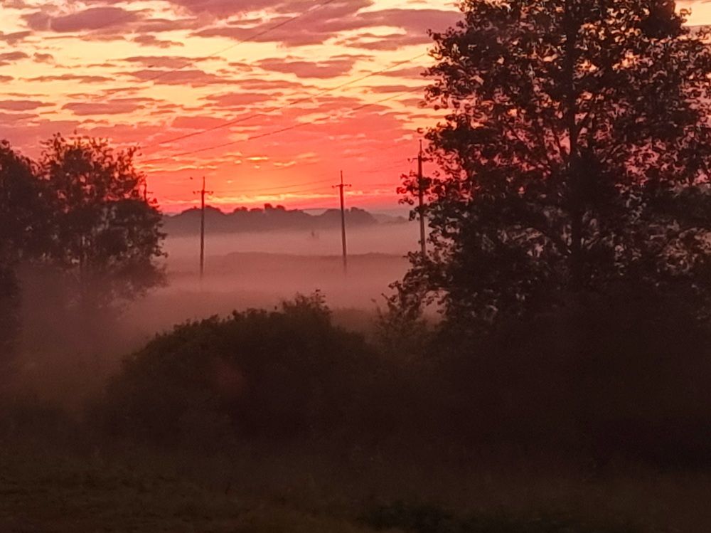 Photograph by Елена Шахматова