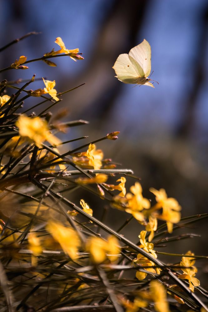 Photograph by Катя Цвет