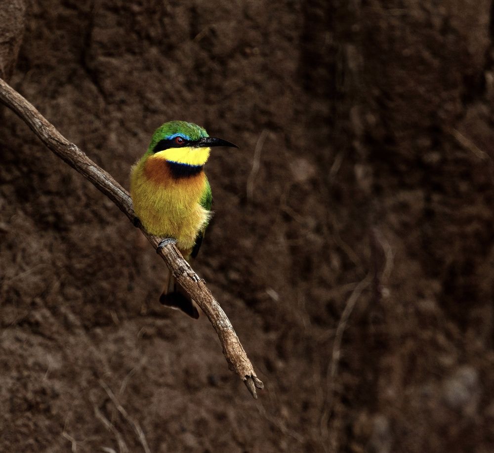 Photograph by LAURA SANCHEZ