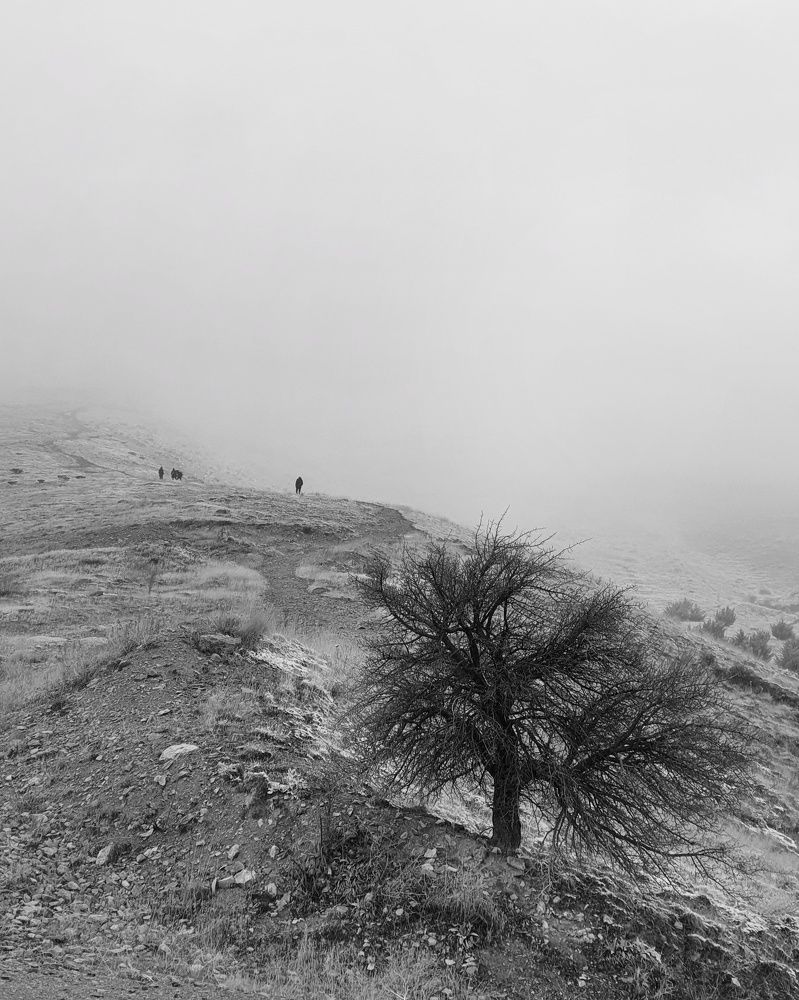A dismal day