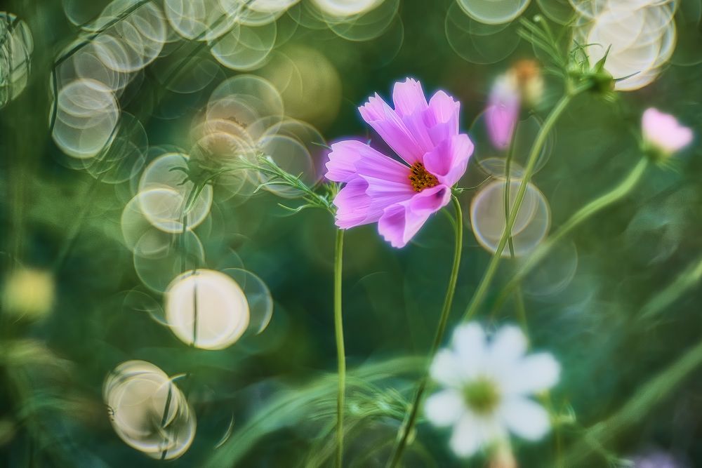 Фотография автора Владислав Храмцов
