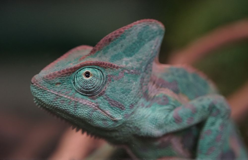 Photograph by Татьяна Дмитриева