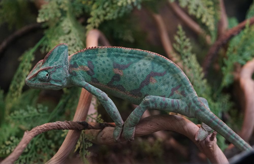 Photograph by Татьяна Дмитриева