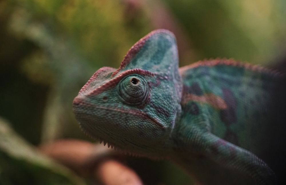 Photograph by Татьяна Дмитриева