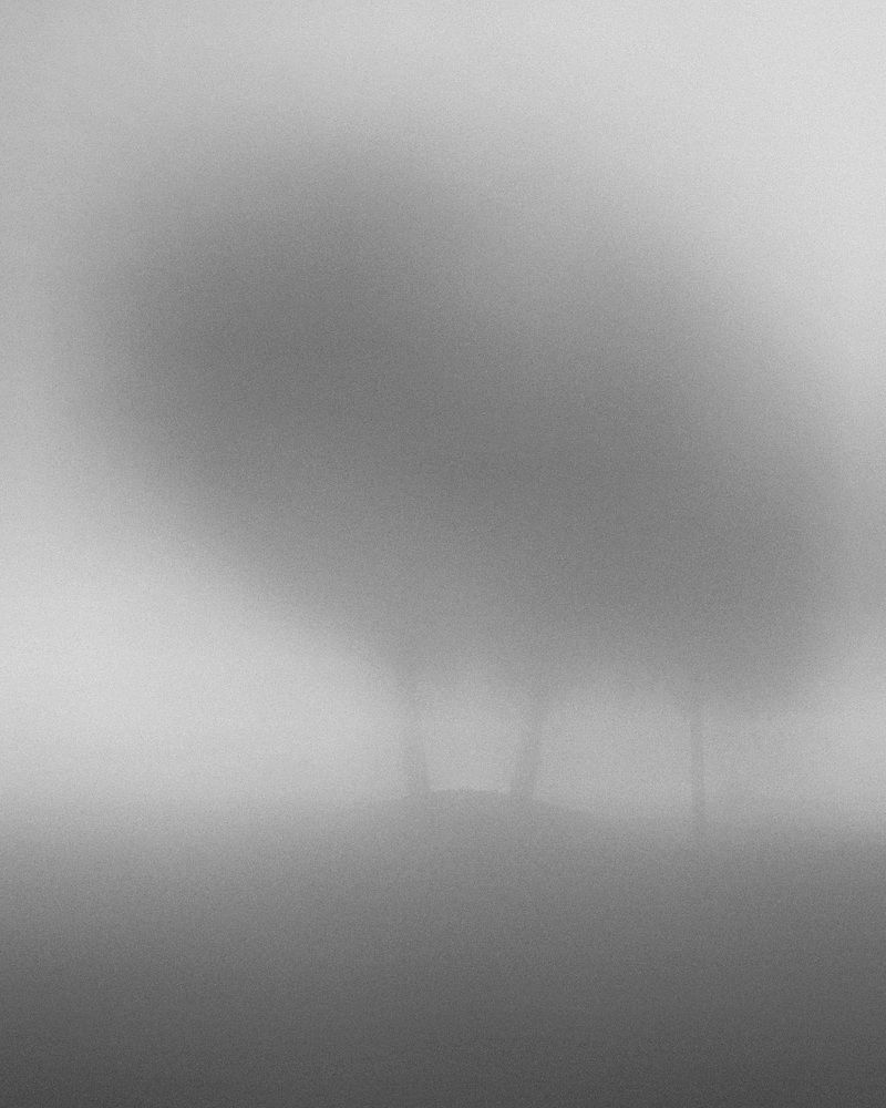 Dense fog