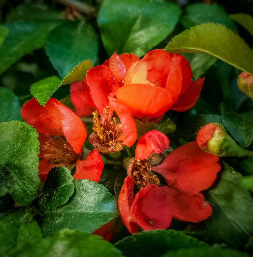 Photograph by Алексей Копылов