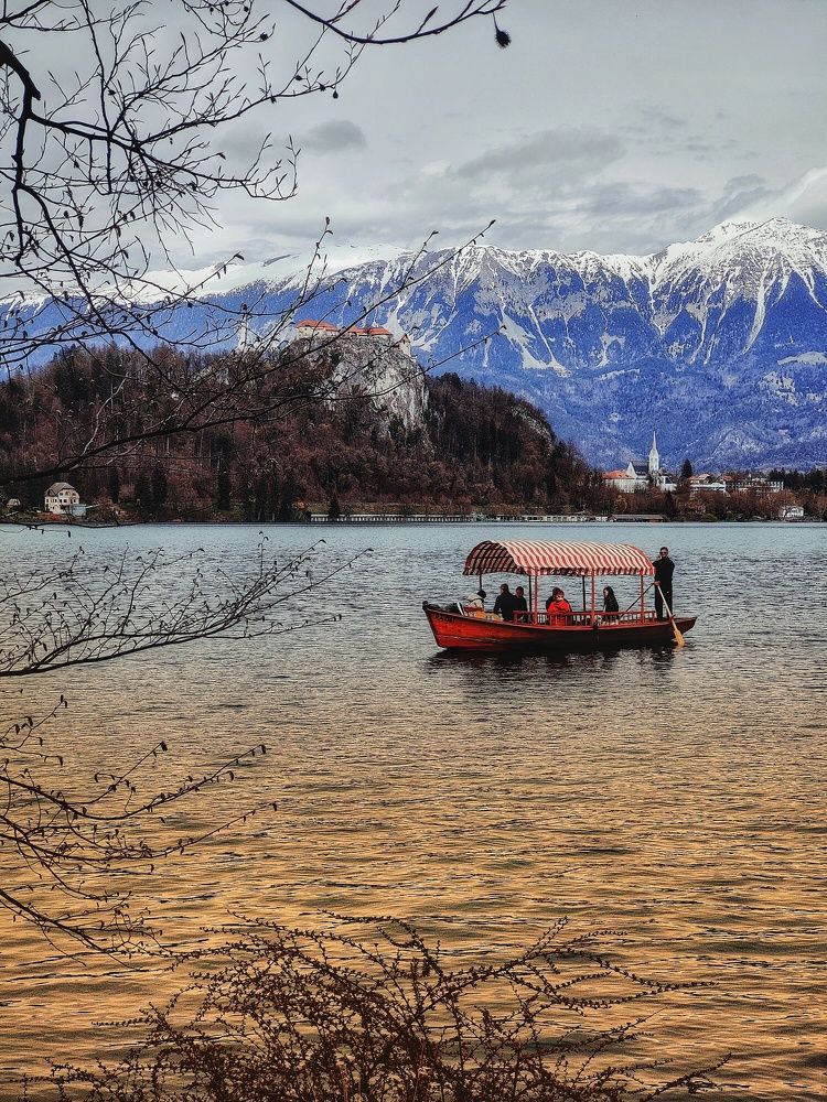 Фотография автора Laura Skwarek