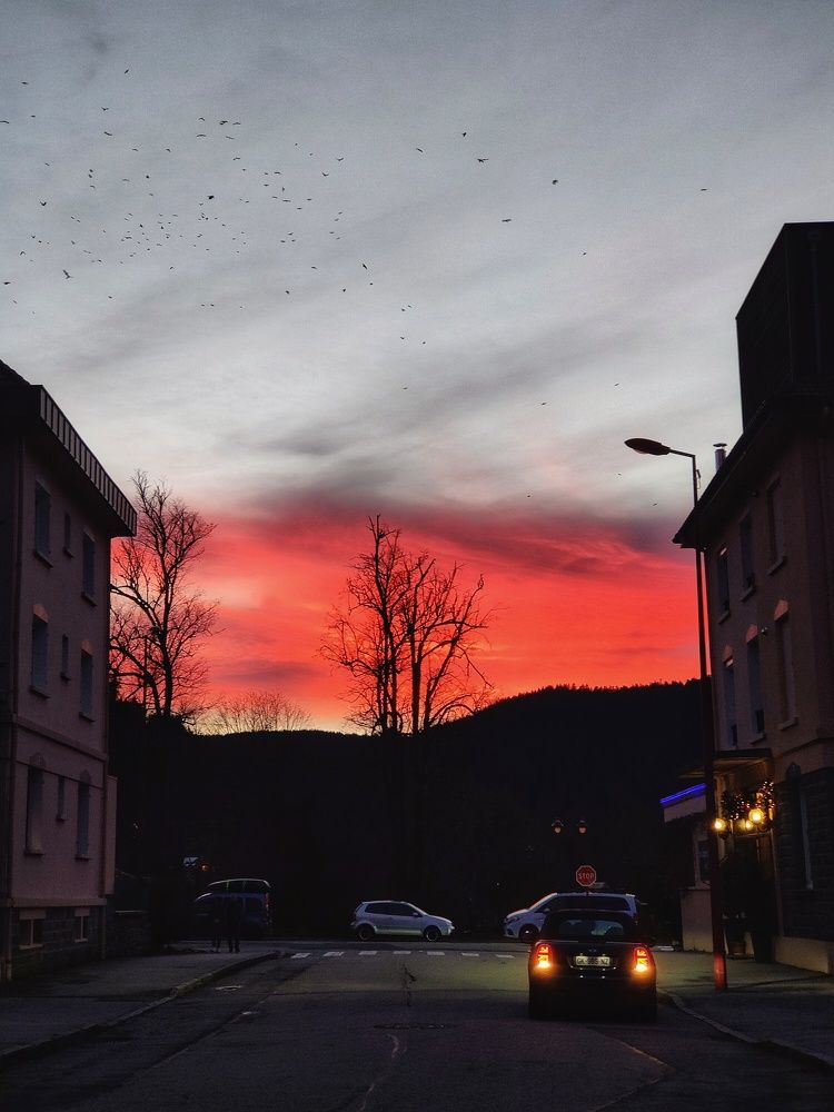 Фотография автора Laura Skwarek