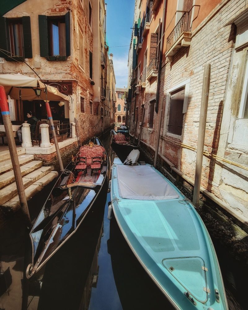 Фотография автора Laura Skwarek