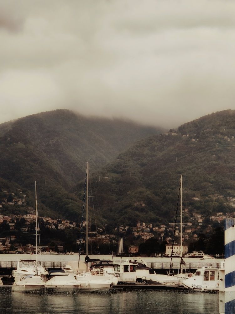 Фотография автора Laura Skwarek