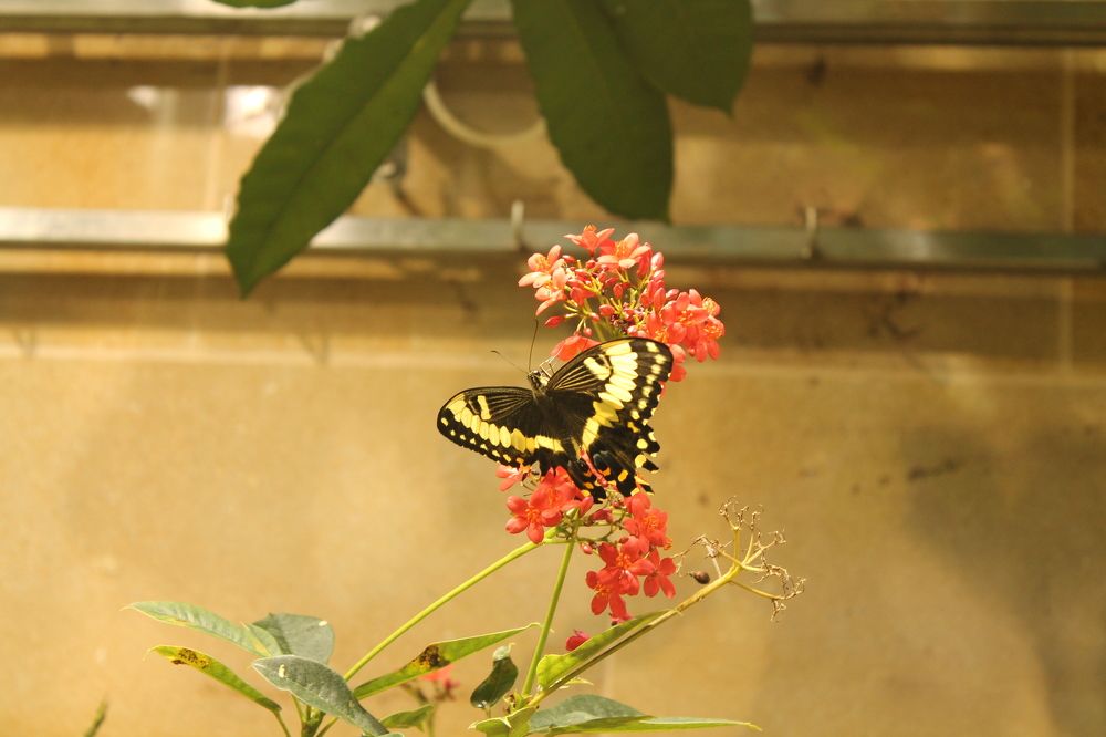 Фотография автора Venus Molina