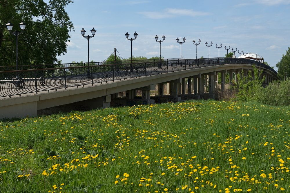 Photograph by Алексей Шехонин