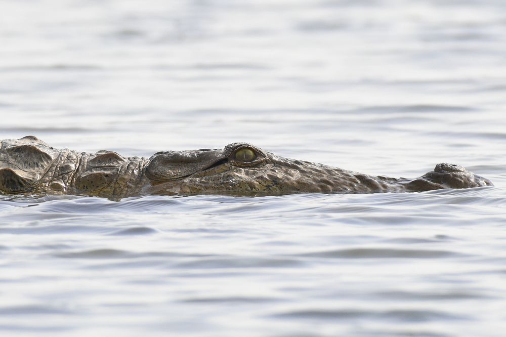 Photograph by Prateek Agarwal