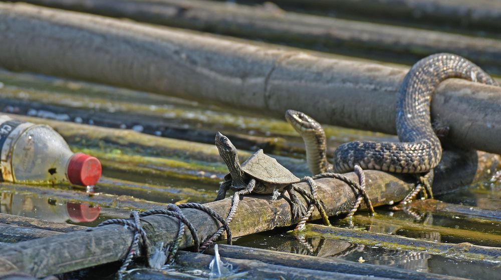 Фотография автора Prateek Agarwal