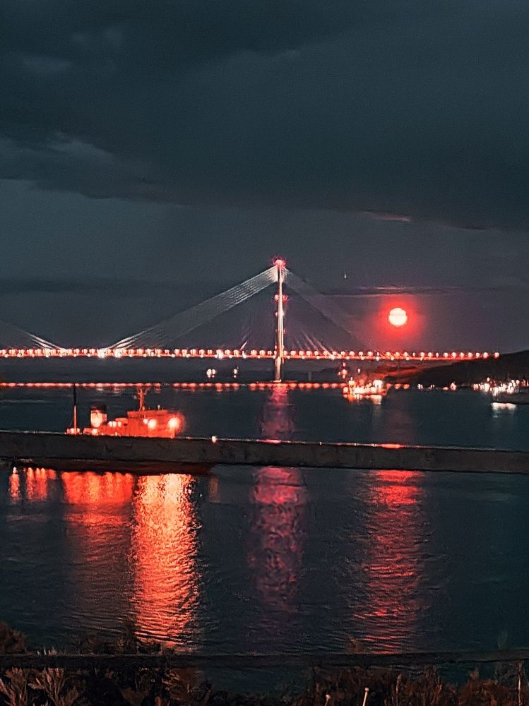 Photograph by Елена Егорова