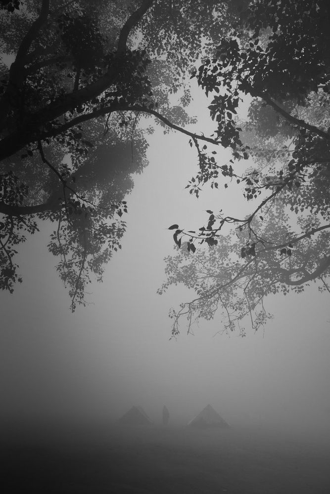 Photograph by Rashid Khan