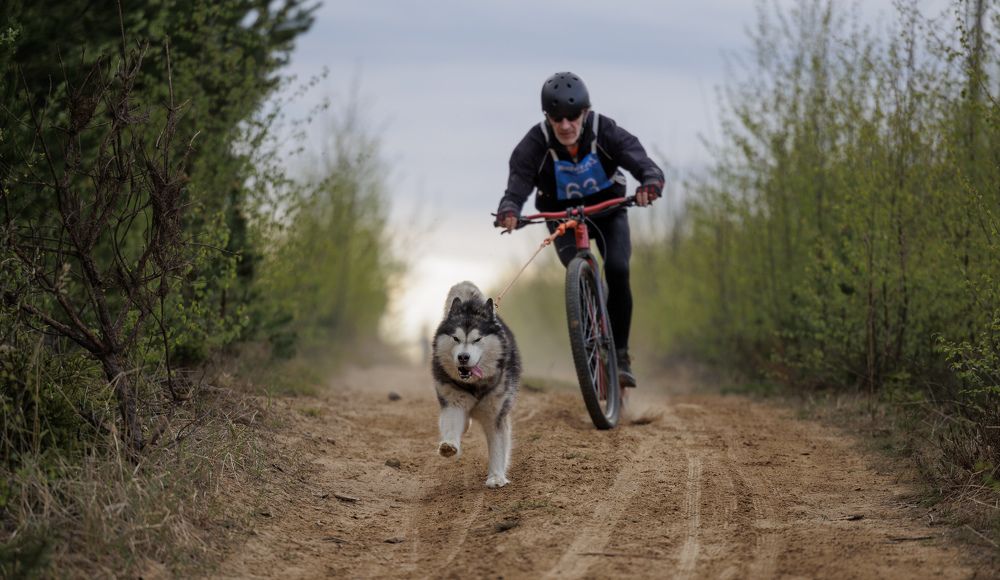 Photograph by Илья Юфа