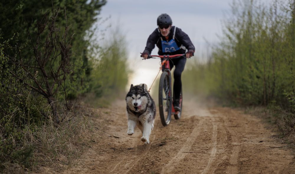 Photograph by Илья Юфа