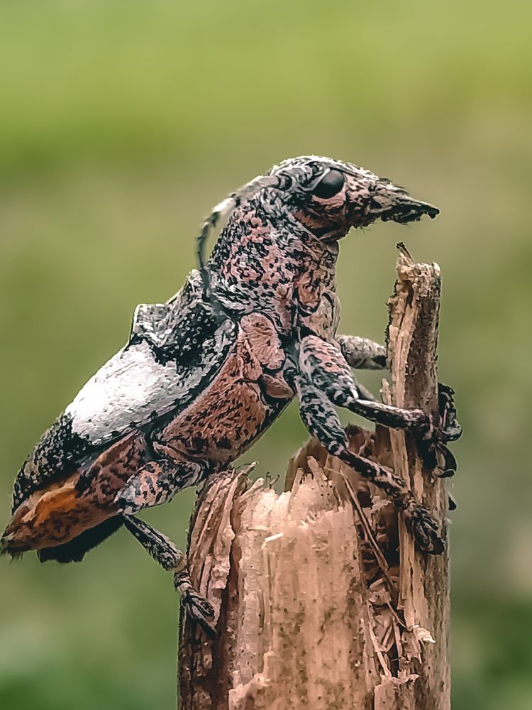 Photograph by Sheryne Hazel Suarez