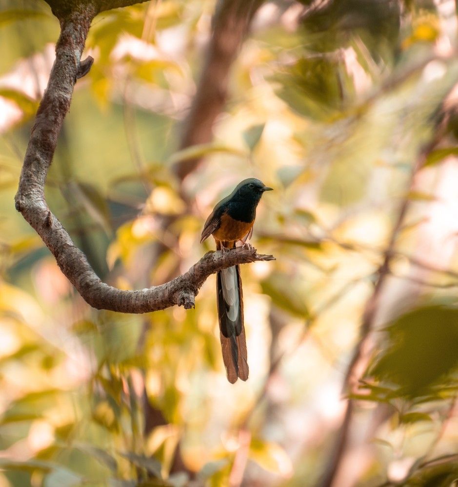 Photograph by Neelimaa Ripote