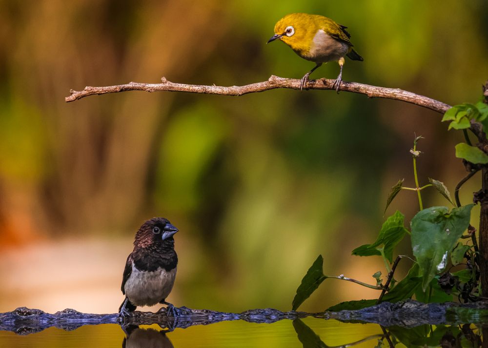 Photograph by ArkaChanda Roy
