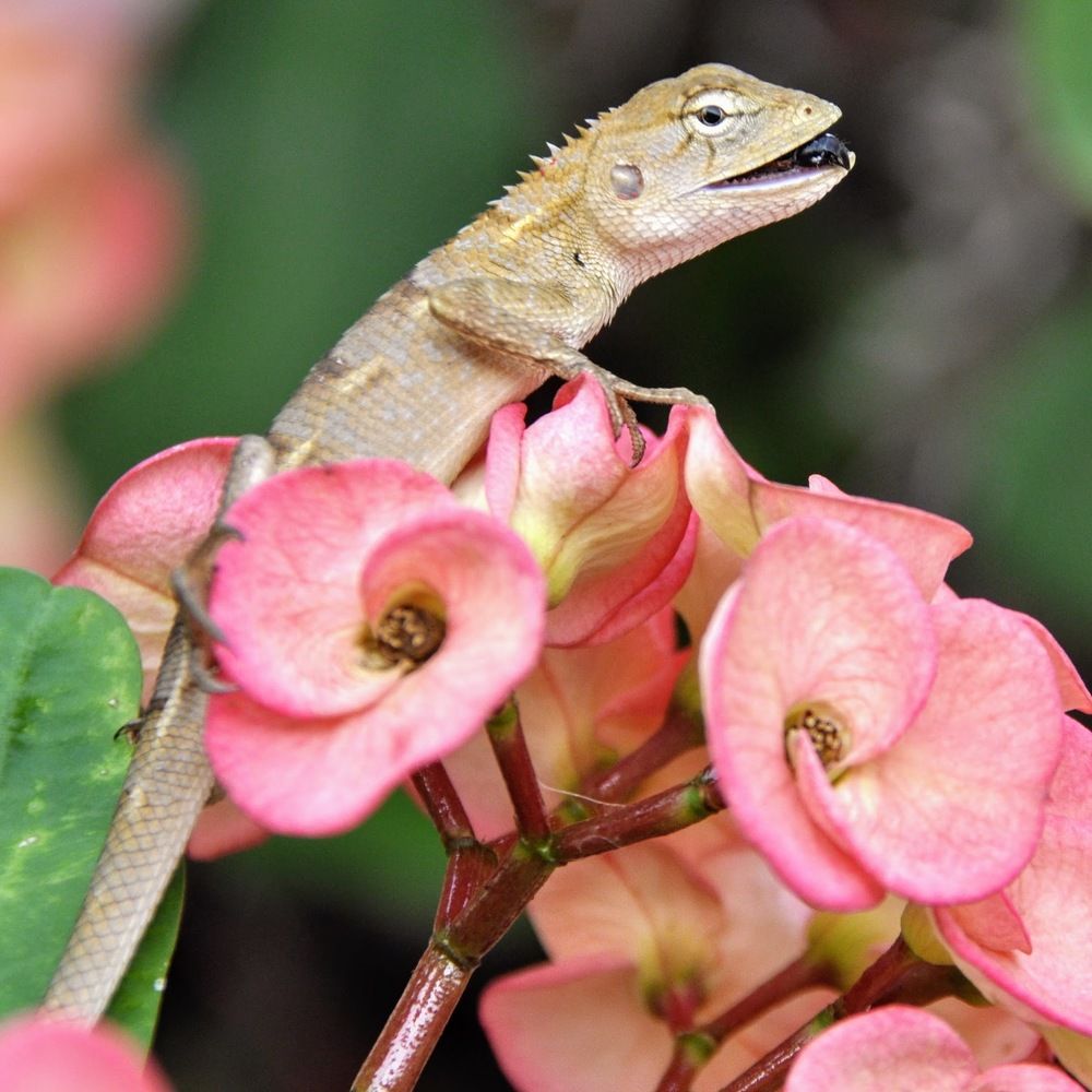 Photograph by Maria Teresa Teixeira de Sousa