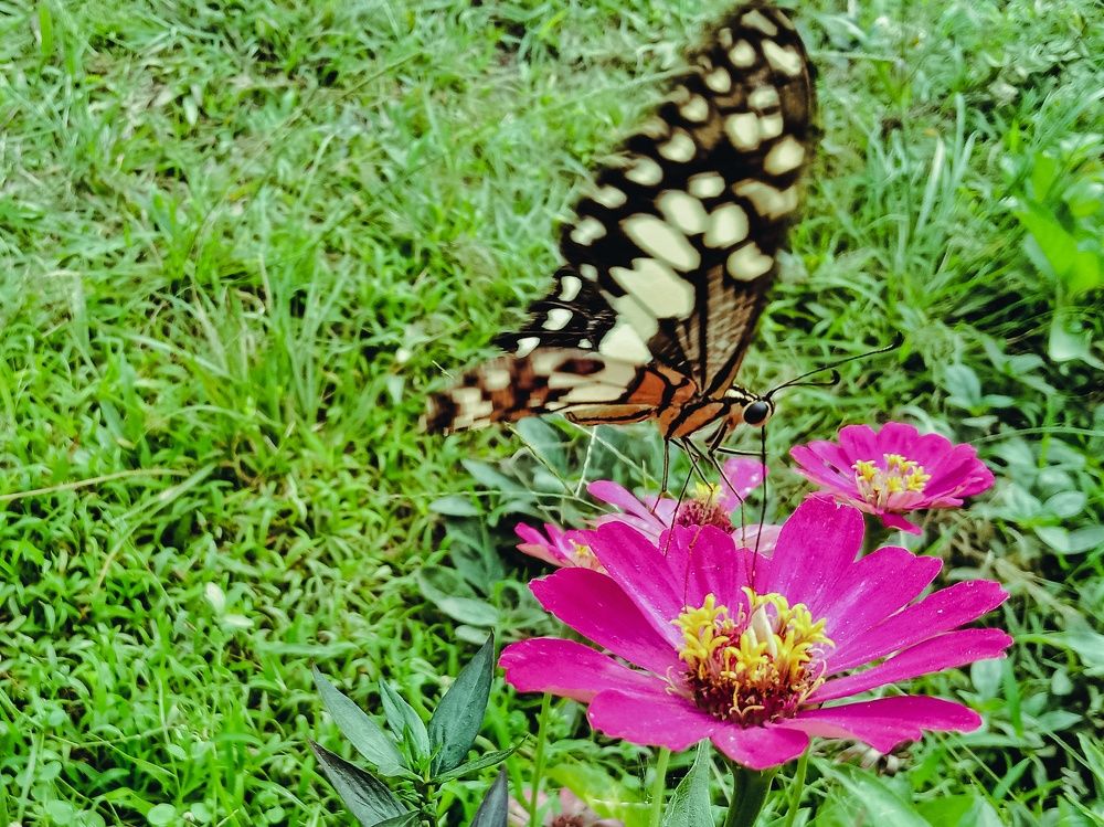 Photograph by Feri Fikri