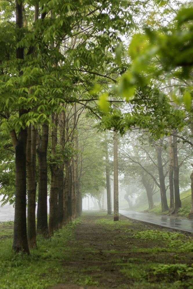 Фотография автора Любовь Филиппова