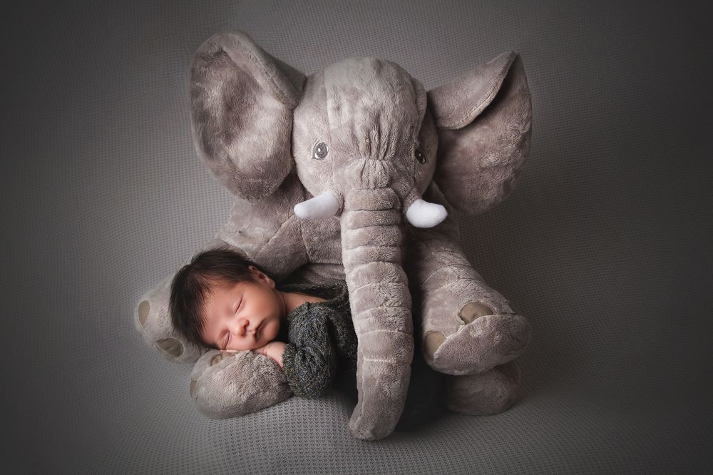 MY BEST FRIEND ELEFANT