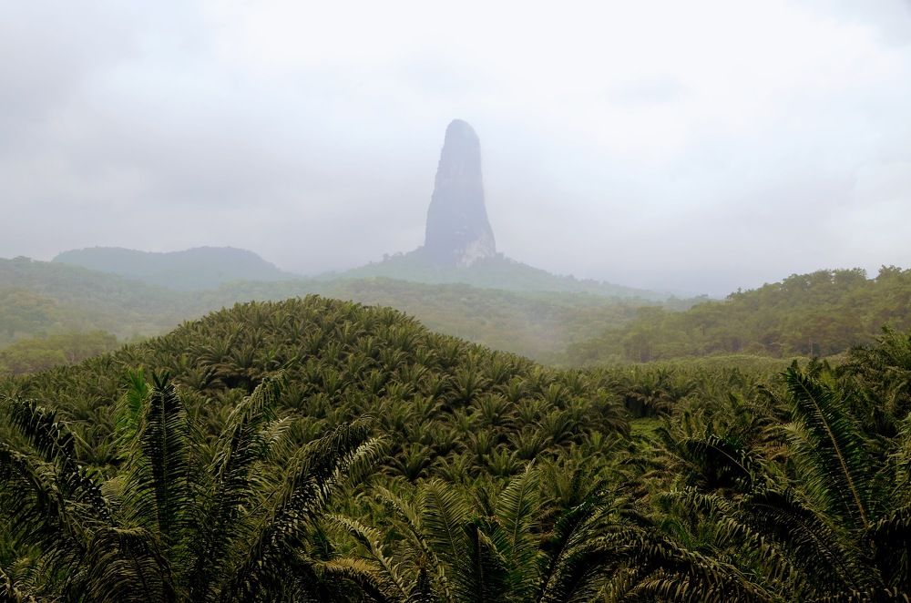 Pico do Papagaio, S. Tomé e Príncipe Island