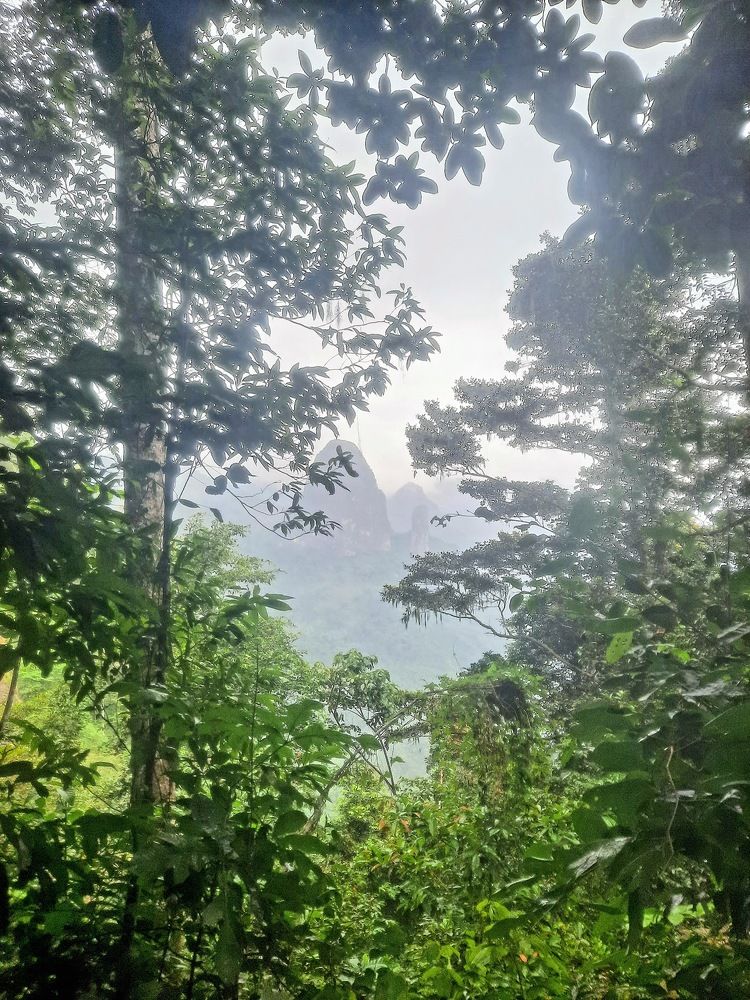 Photograph by Maria Teresa Teixeira de Sousa