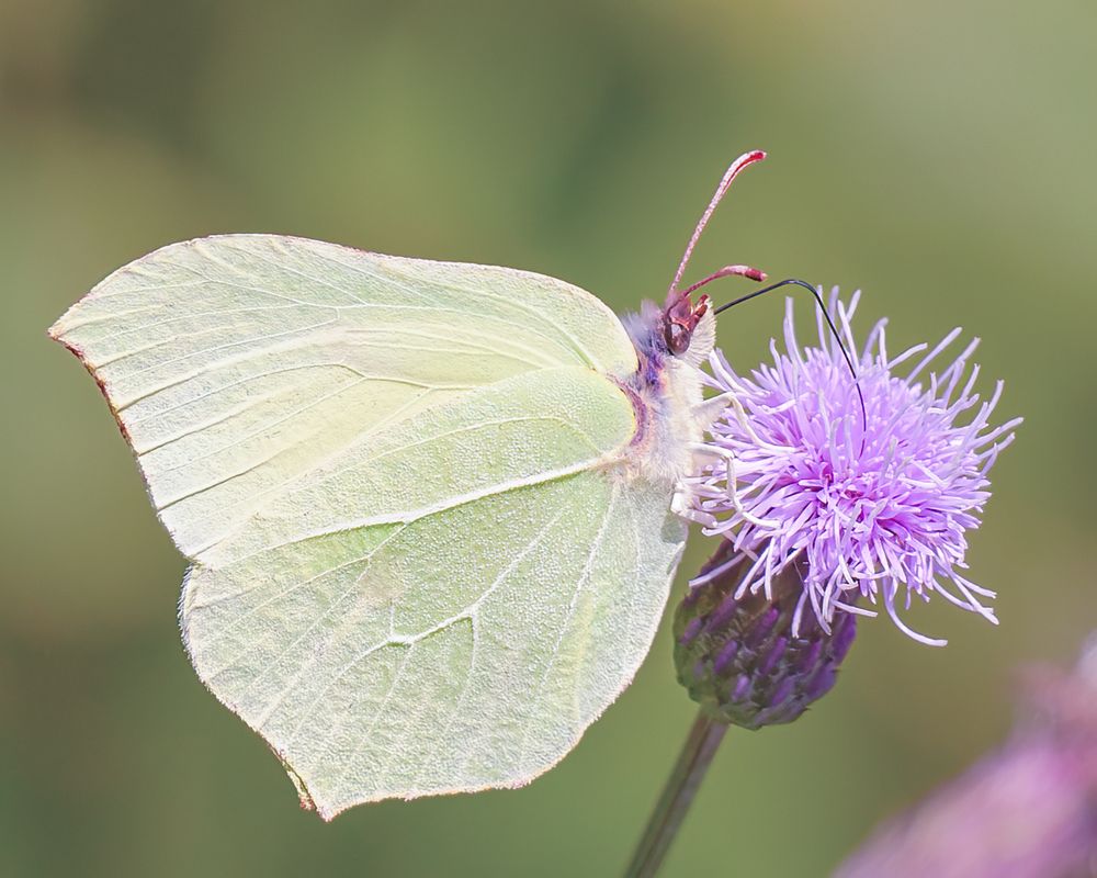 Photograph by Юрий Спасенников