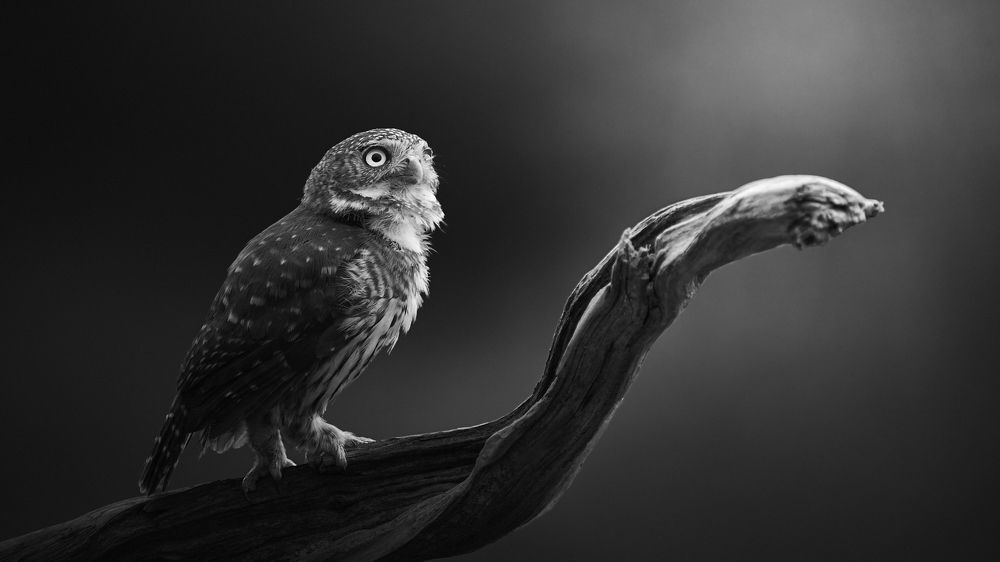 Photograph by Carlos Manuel Peguero Gomez