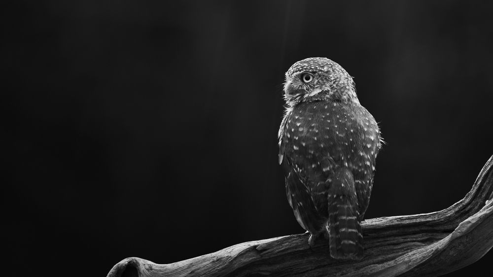 Photograph by Carlos Manuel Peguero Gomez