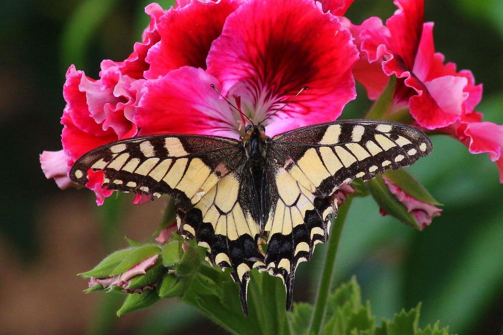 Photograph by салим насыпов