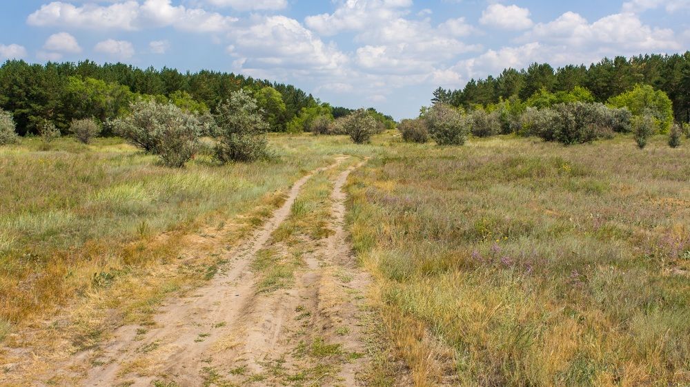 Photograph by Валерий Федяров