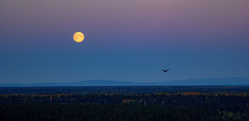 Photograph by Юрий Чернов