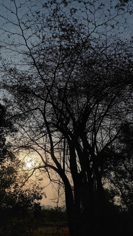 Photograph by Udhay masireddy