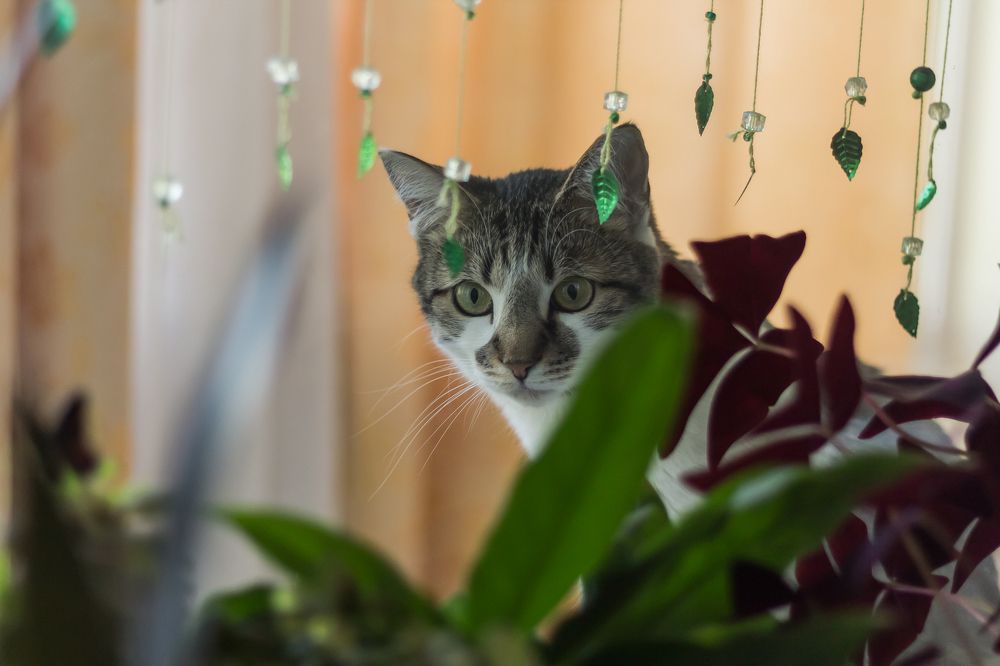 Photograph by Елена Глухарева