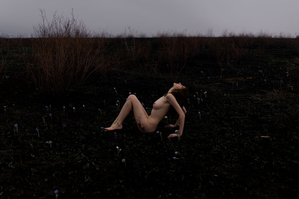 Photograph by Елизавета Гладких