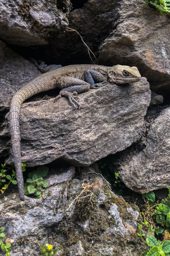 Фотография автора HITESH PATEL