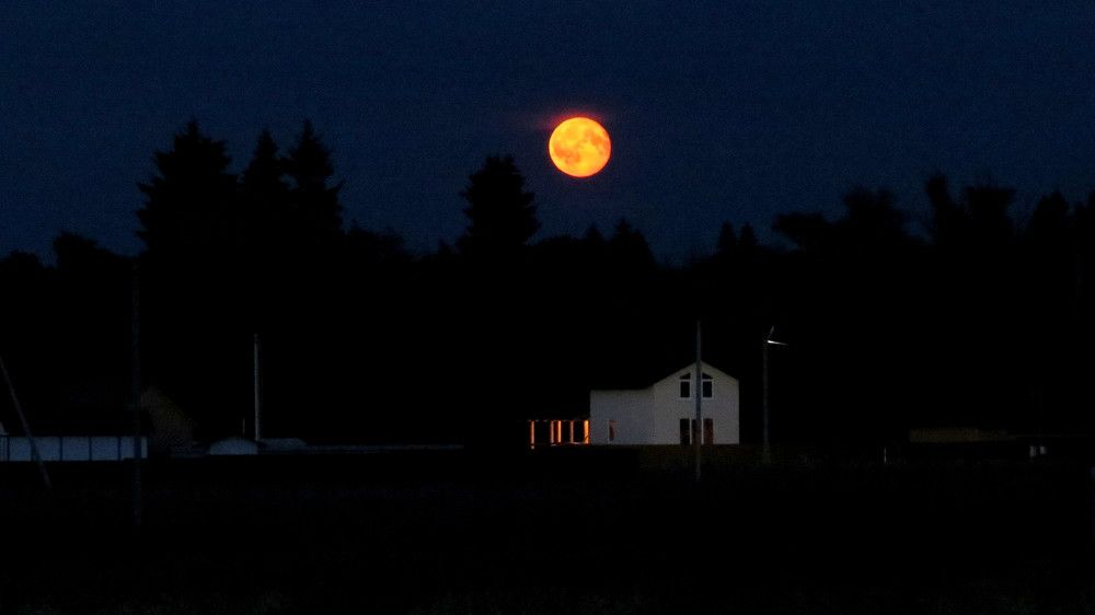 Photograph by Елена Казарина