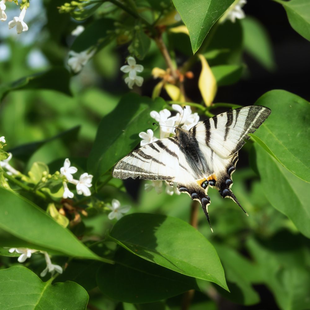 Photograph by Юлия Морозова